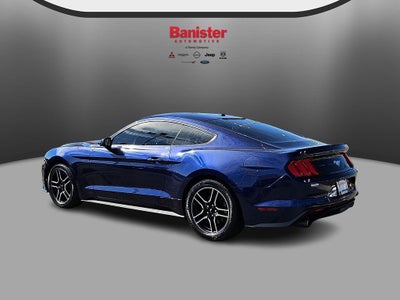 2019 Ford Mustang EcoBoost