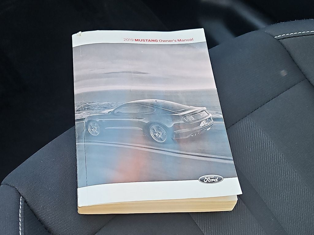 2019 Ford Mustang EcoBoost