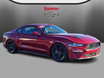 2019 Ford Mustang EcoBoost