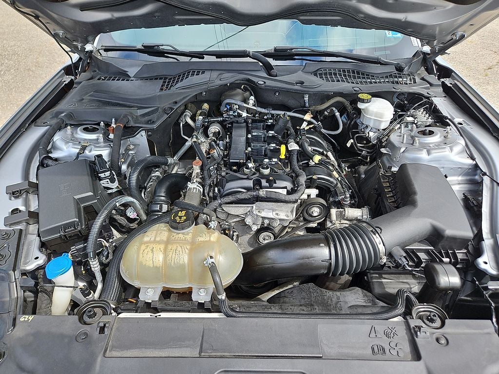 2021 Ford Mustang EcoBoost Premium