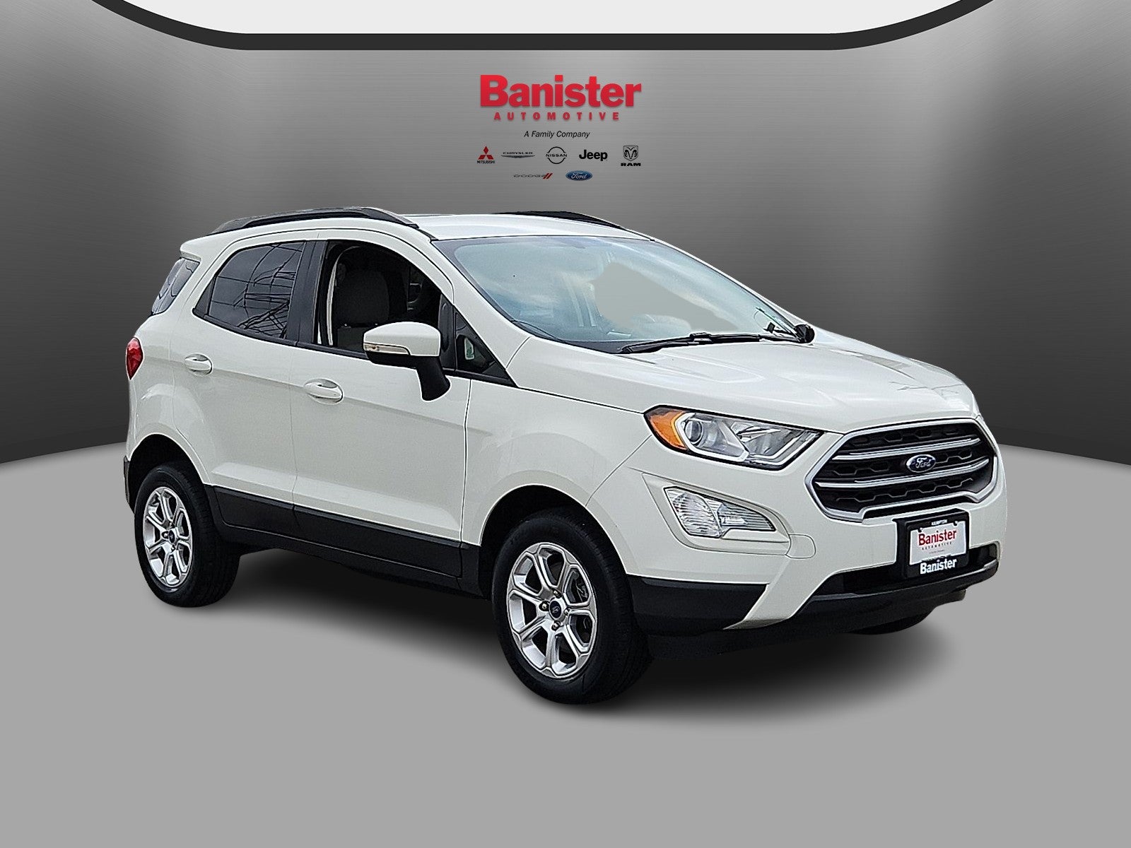 2019 Ford Ecosport SE